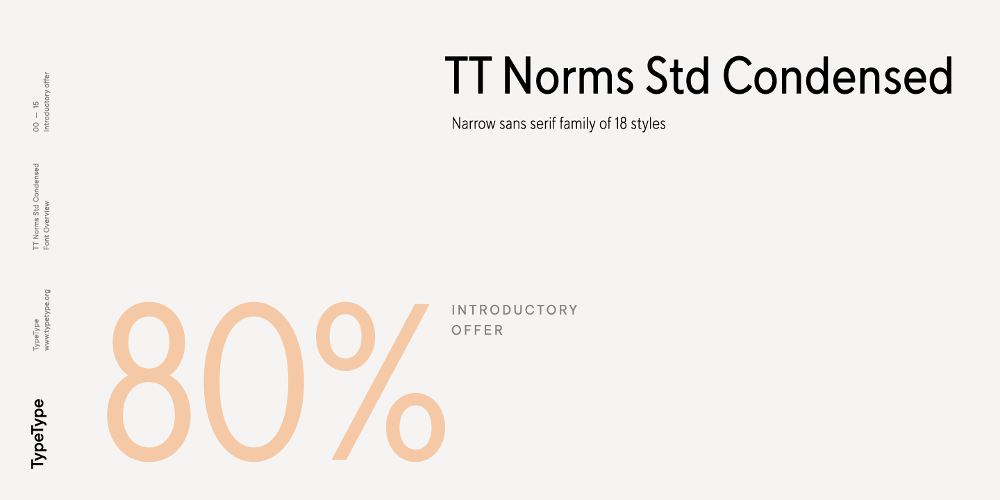 Beispiel einer TT Norms Std Condensed Bold-Schriftart